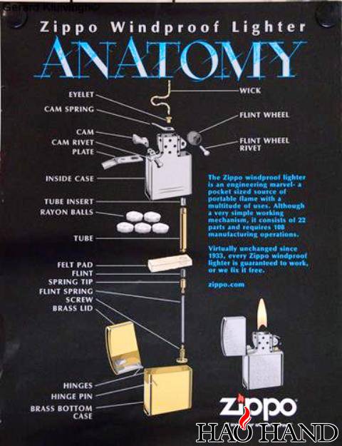 Anatomy.jpg