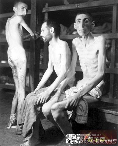 4. 這些被關押在 Buchenwald 集中營的俄國、波蘭和荷蘭的囚犯在關押的11個月期間體重下降160磅，平均體重僅70磅...