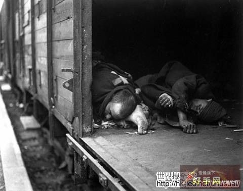 10. 運送政治犯屍體的火車...