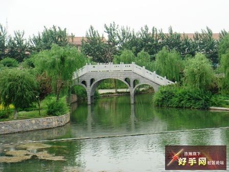 jpg