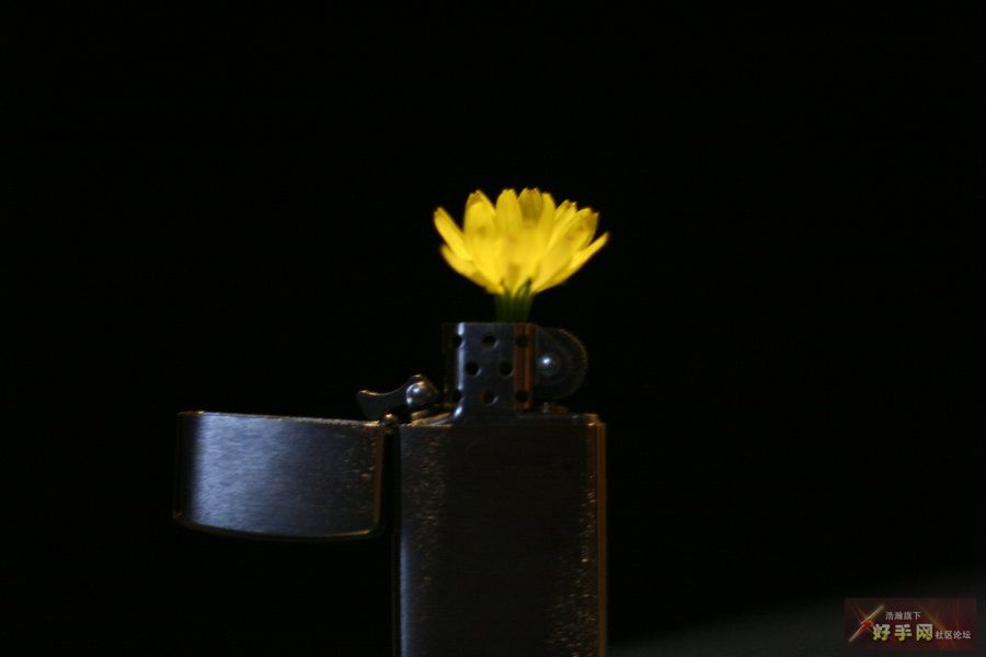 jpg