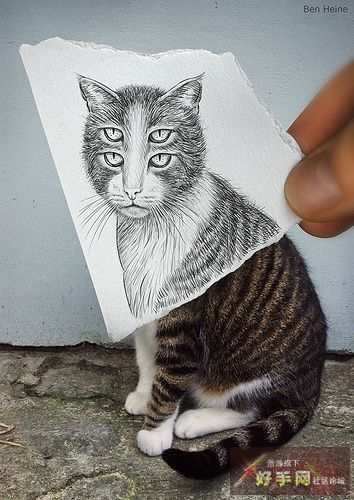jpg