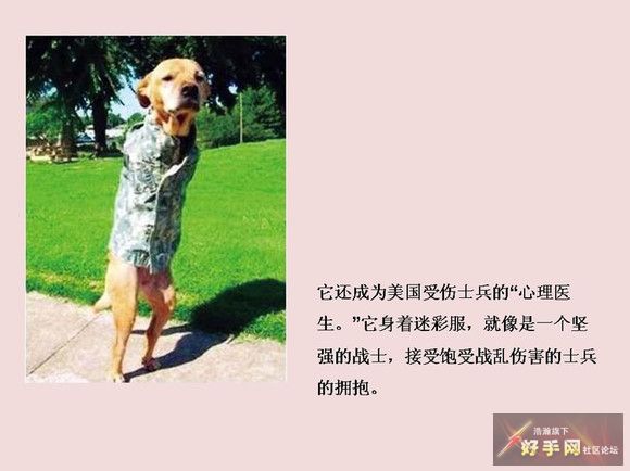 jpg