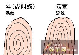 jpg