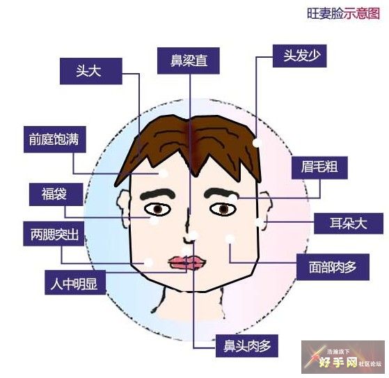 jpg