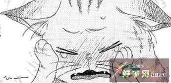 jpg