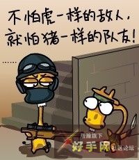 jpg
