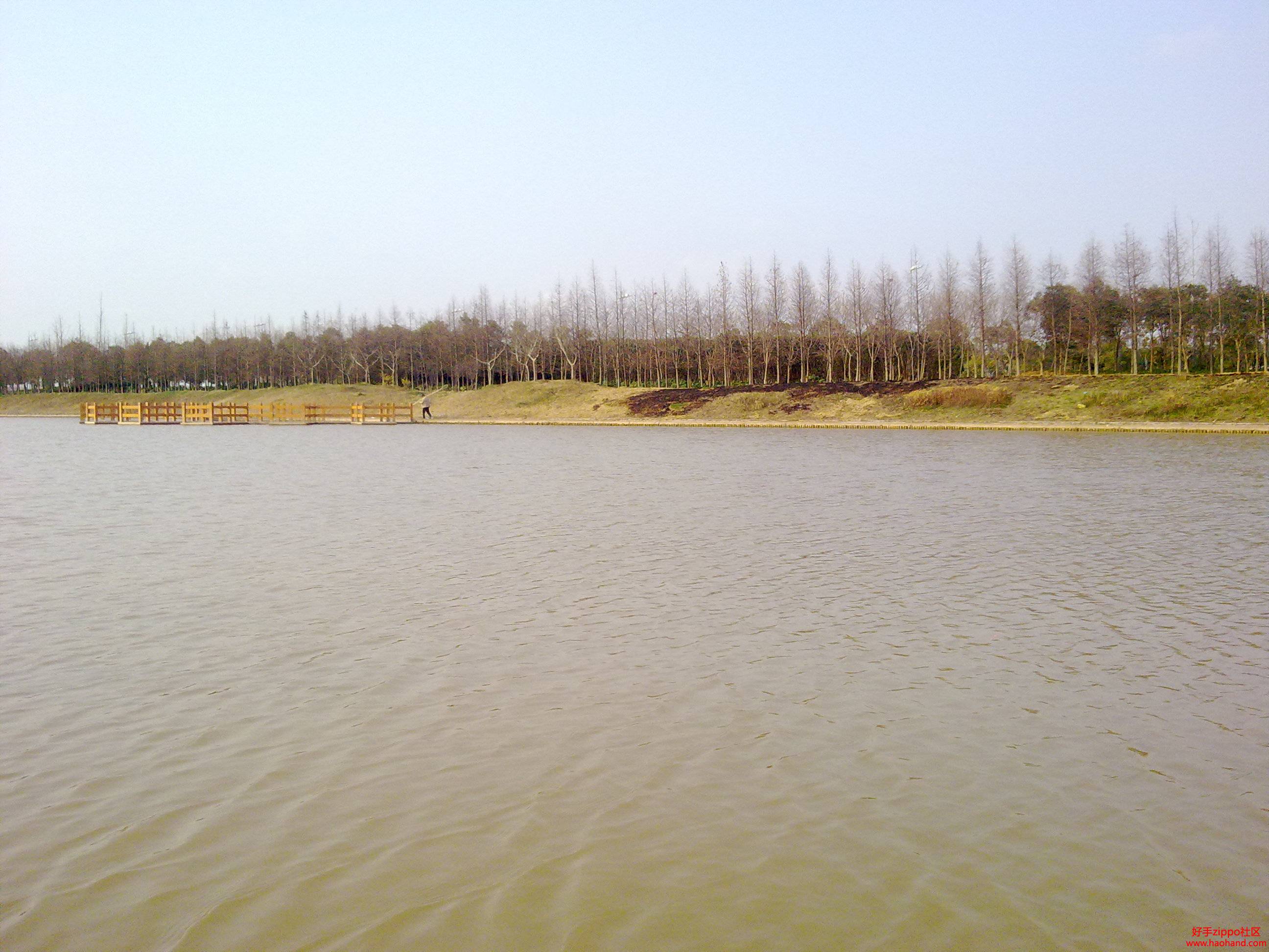 20110312070.jpg