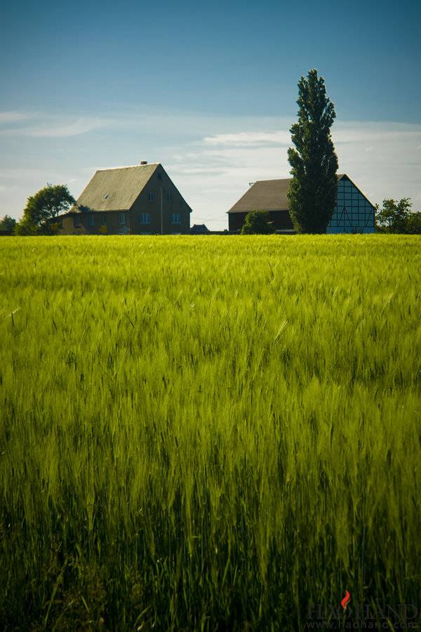 Rural_Mittweida_by_Stilllife_Txa.jpg