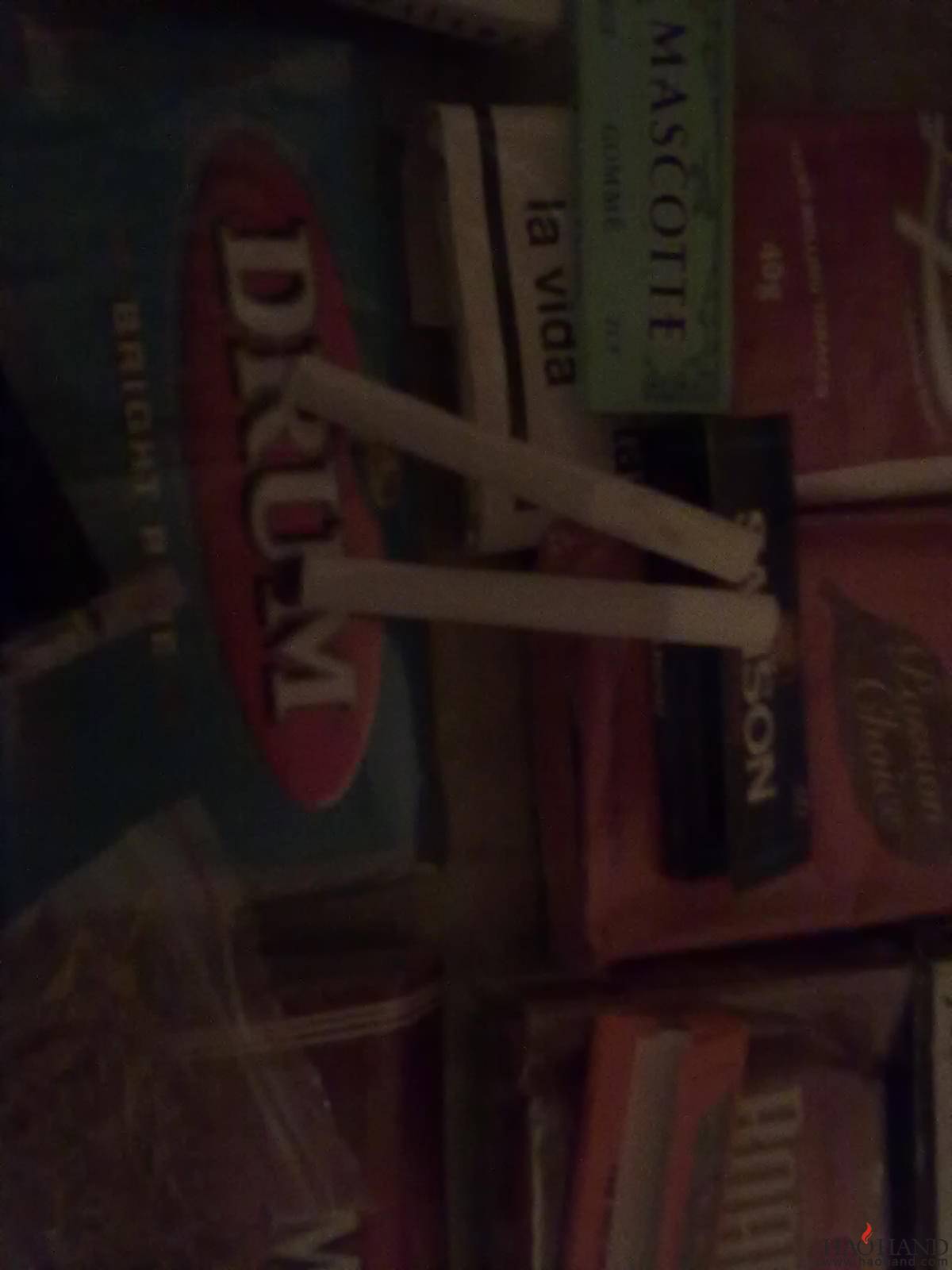 20110426075.jpg