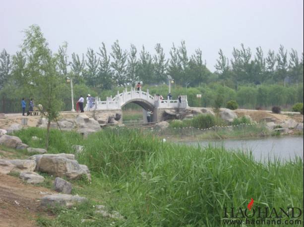 １５.jpg