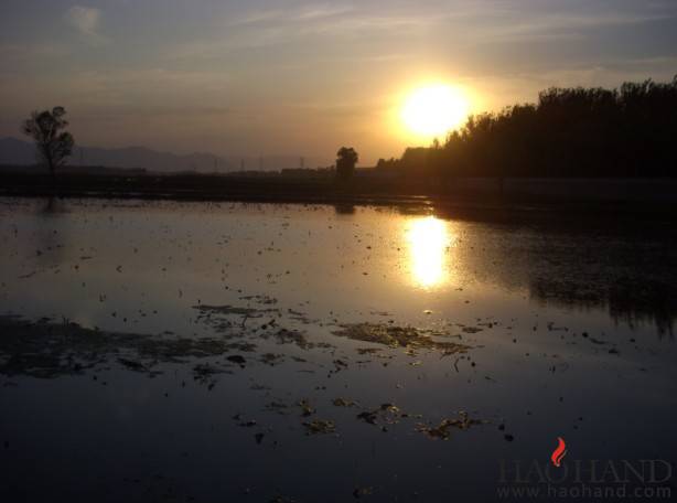 夕阳.jpg