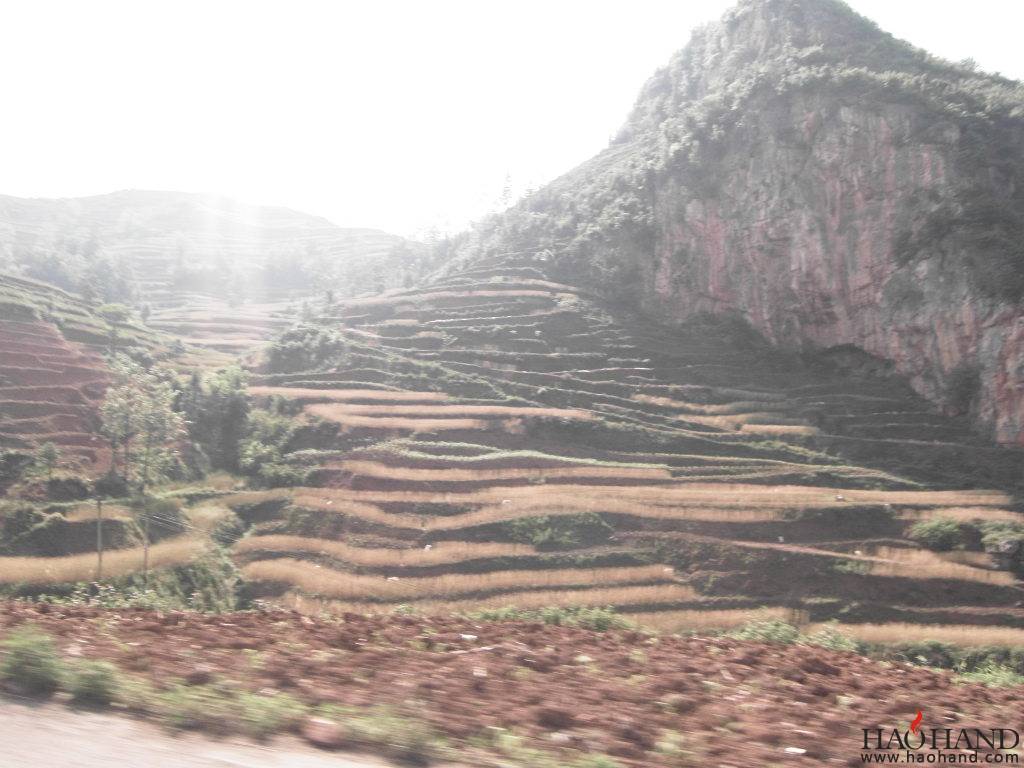 SDC11728.JPG