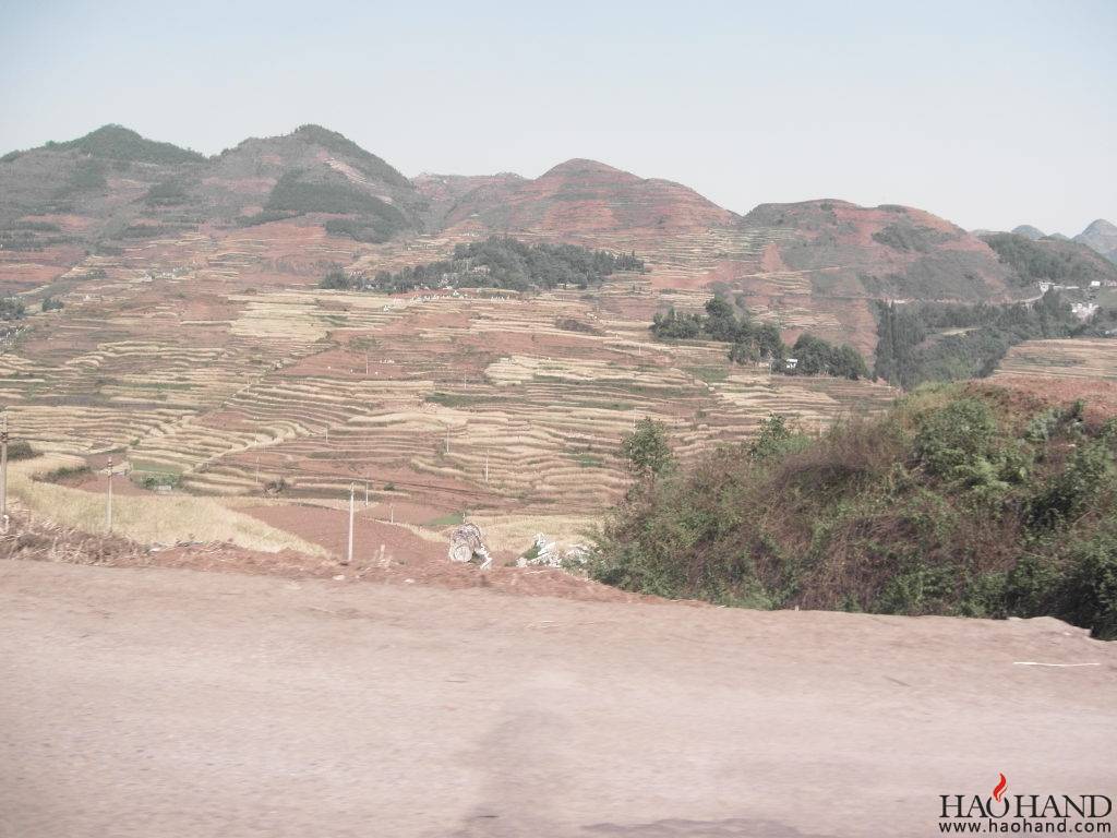 SDC11724.JPG