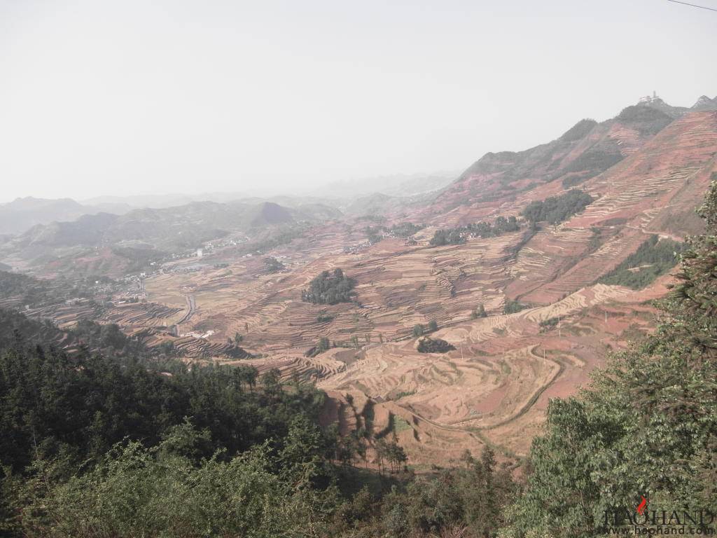 SDC11741.JPG