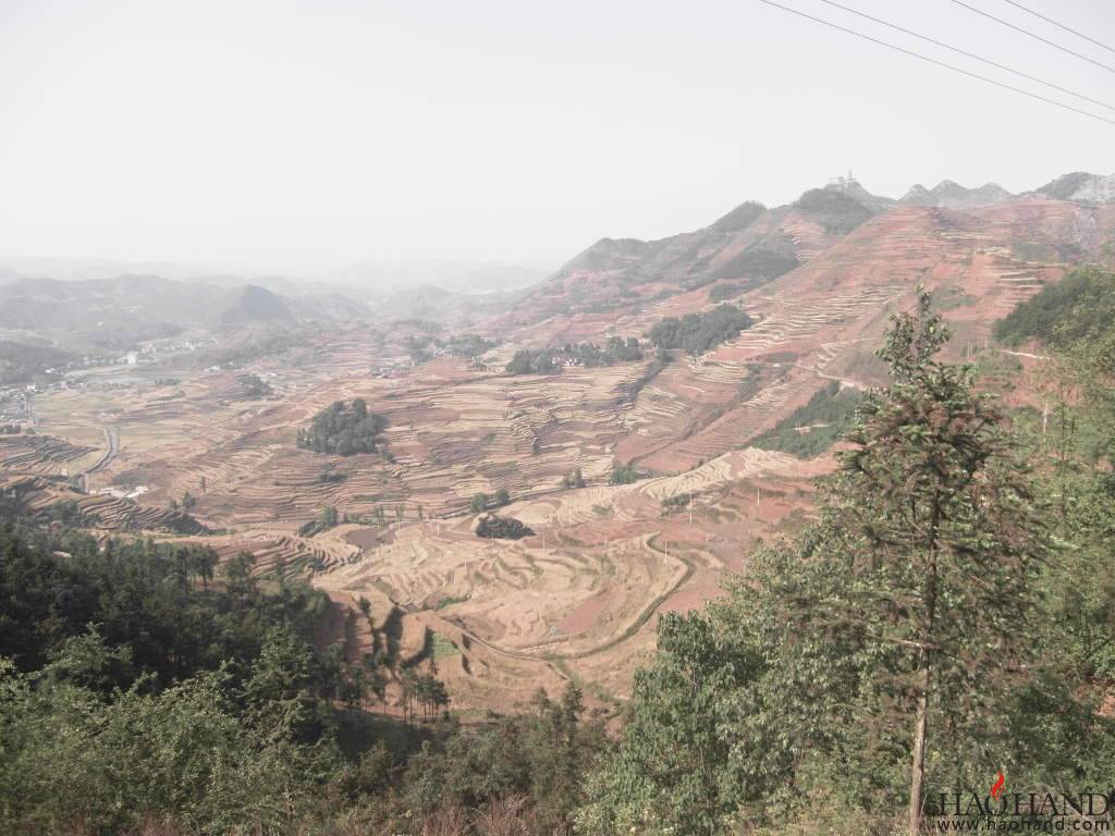 SDC11742.JPG