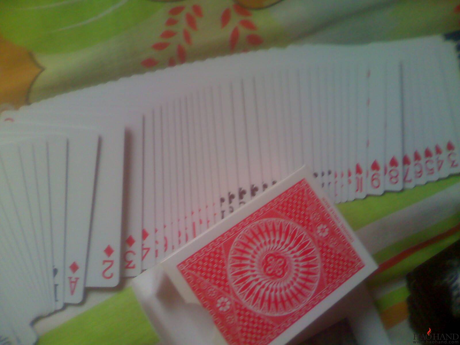 moto_0082.jpg