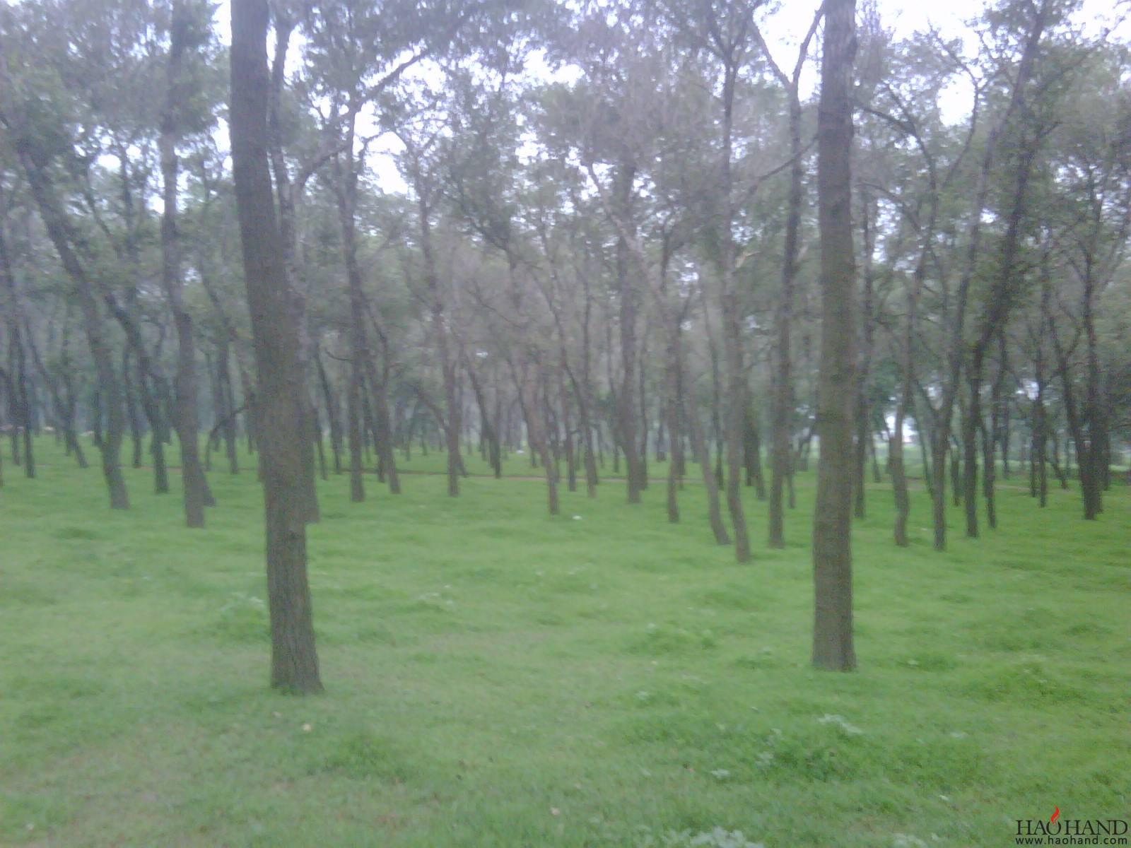 IMG00139-20110723-1819.jpg