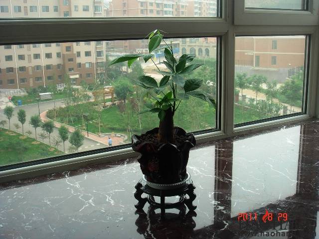 DSC02877.JPG