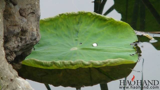 DSC05673 (640x360).jpg