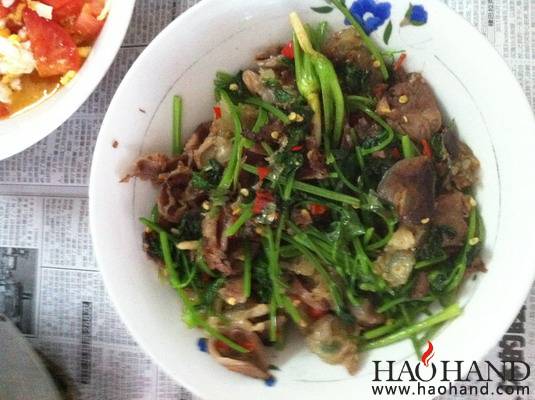 IMG_2076_调整大小.jpg