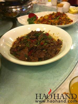 IMG_2113_调整大小.jpg