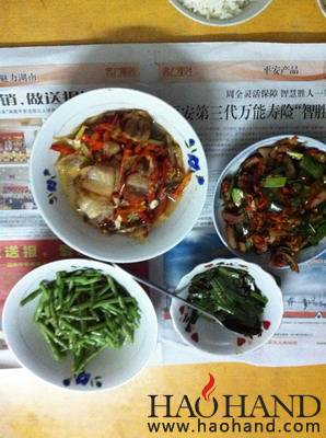 IMG_2203_调整大小.jpg