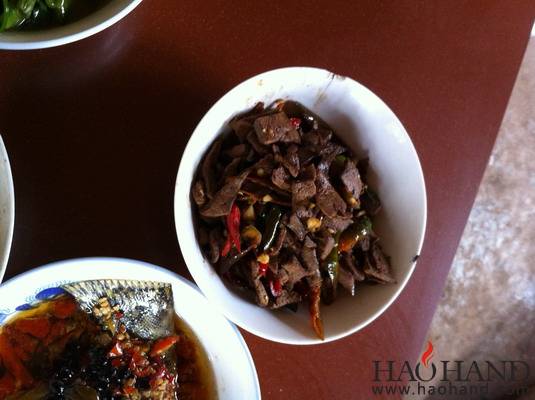IMG_2255_调整大小.jpg