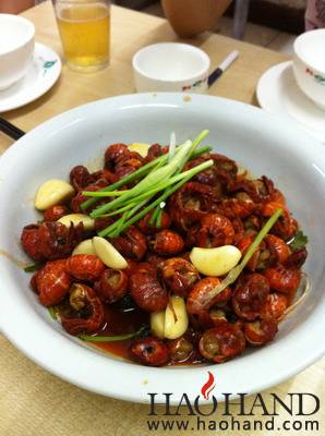 IMG_2257_调整大小.jpg