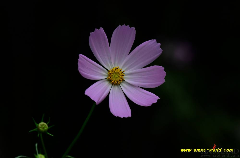 D7K_5809.jpg