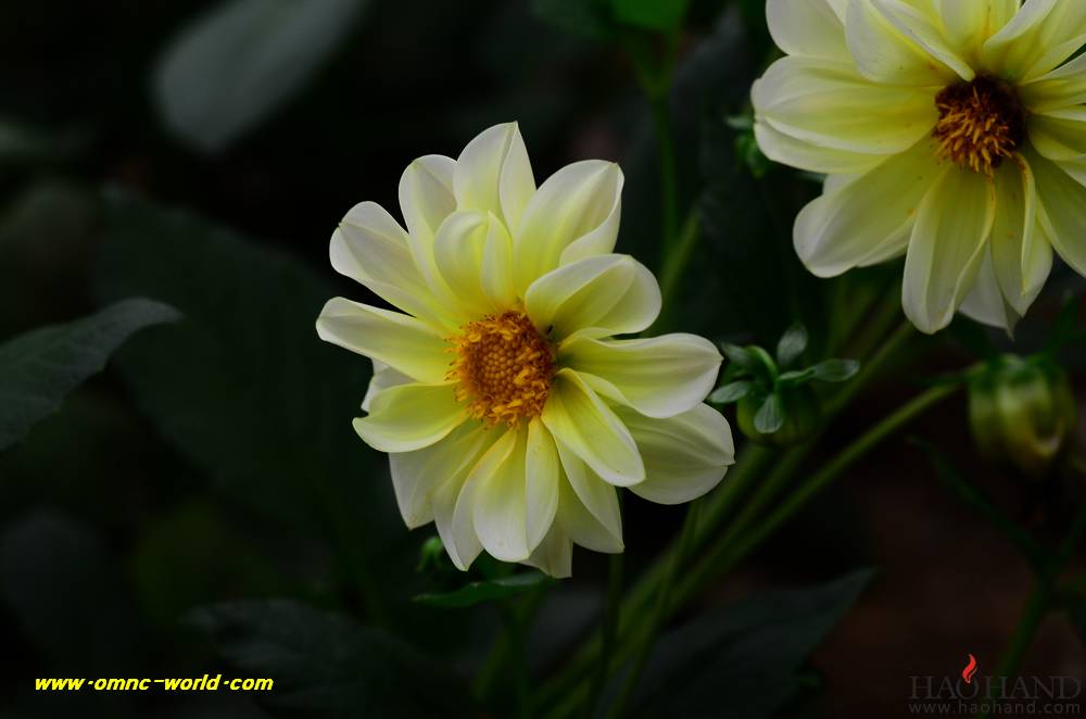 D7K_5830.jpg