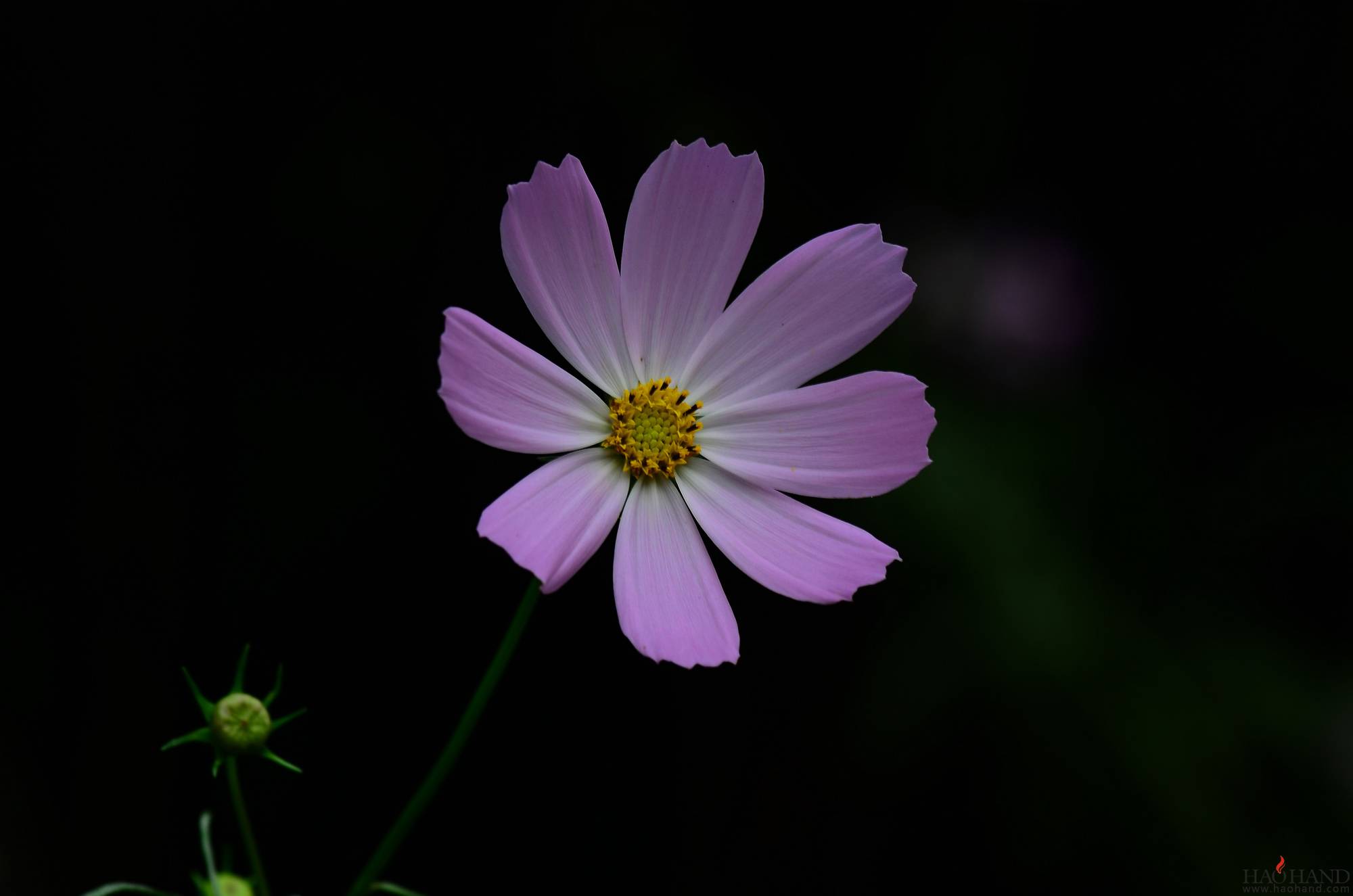 D7K_5809A.jpg