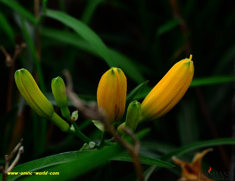 D7K_5663.jpg