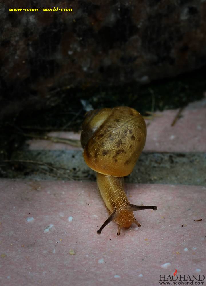 D7K_5204.jpg