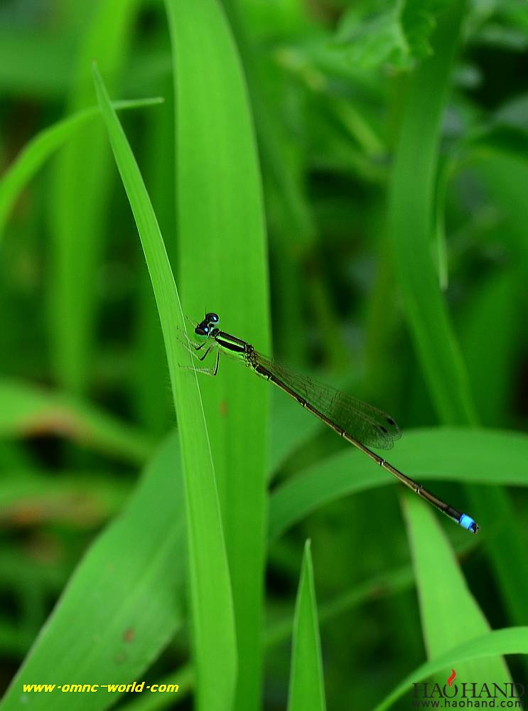 D7K_5372.jpg