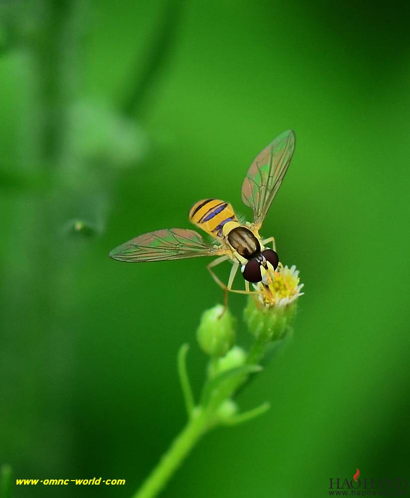 D7K_5379.jpg