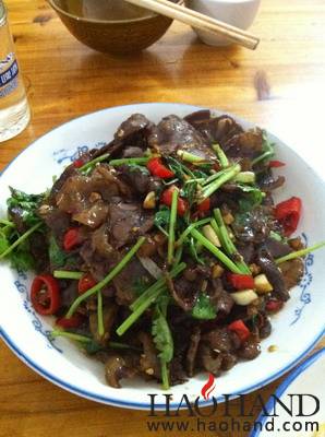 IMG_2330_调整大小.jpg