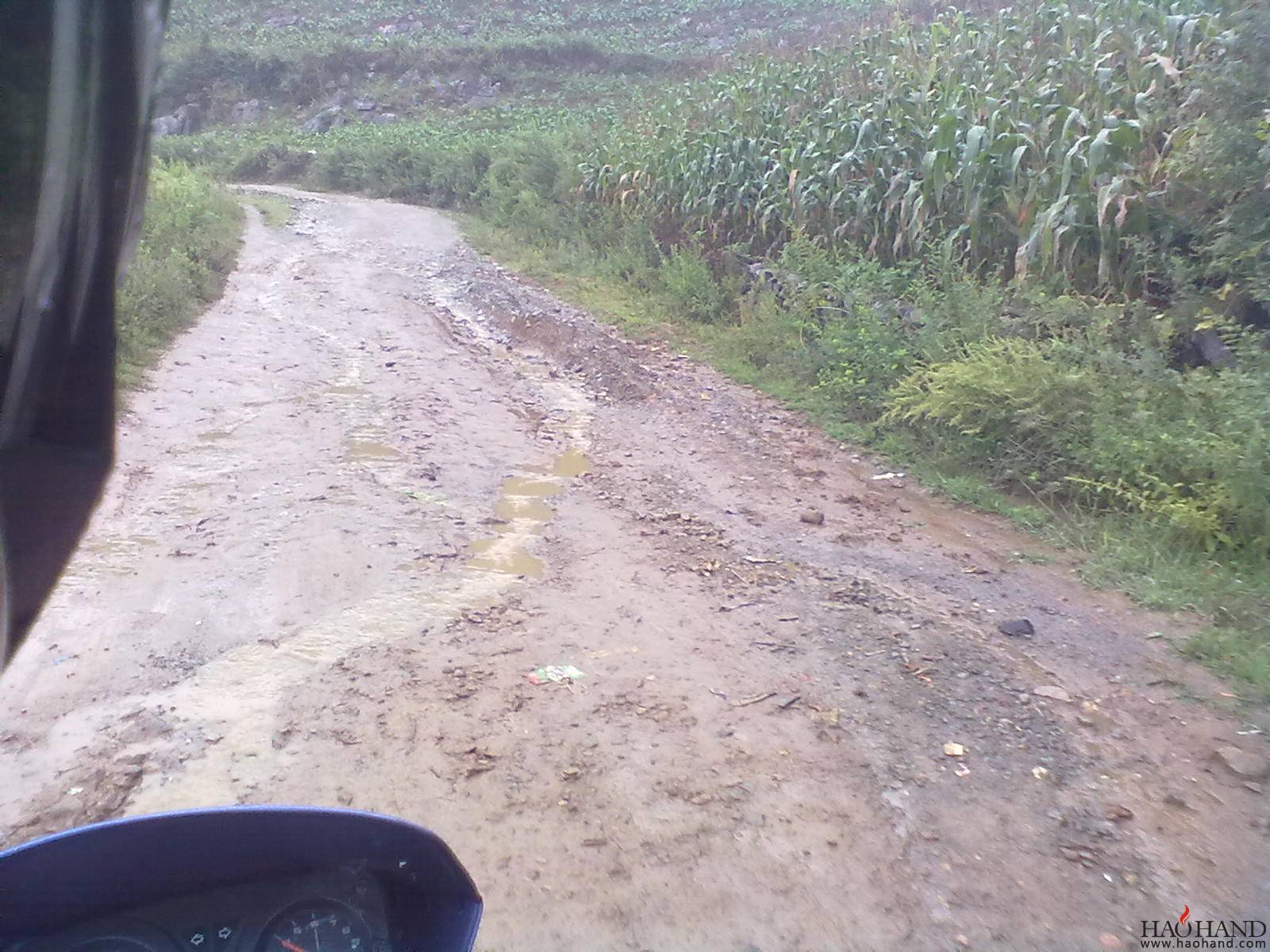 20111109195.jpg
