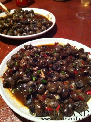IMG_2371_调整大小.jpg