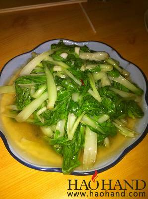 IMG_2495_调整大小.jpg