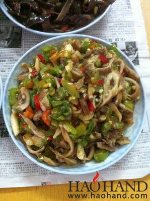 IMG_2526_调整大小.jpg