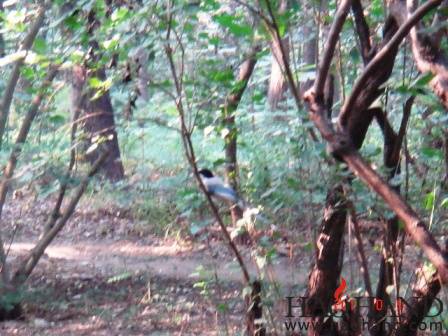 DSC02946.JPG