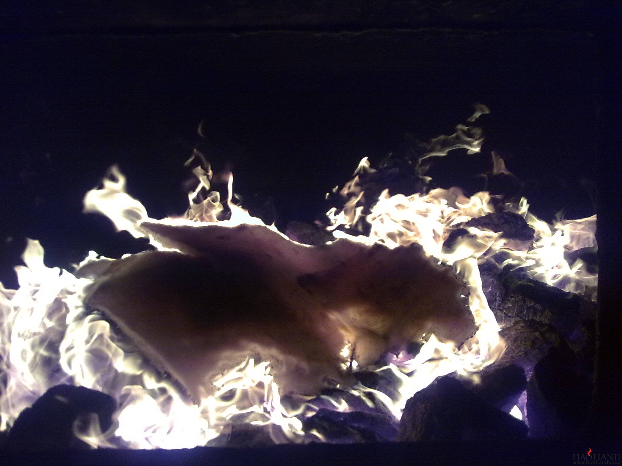 20111108048.jpg