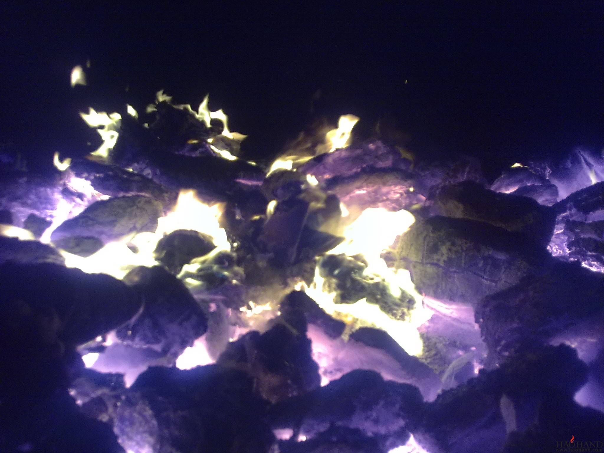 20111108052.jpg