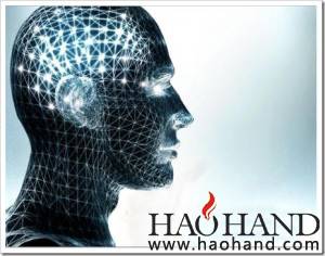ai-thumb1-300x236.jpg
