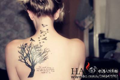 c3b6a7701b90812e369ec27f16e96ded.jpg