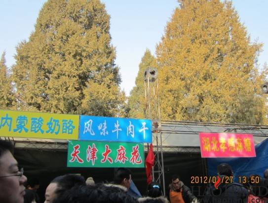 14.jpg