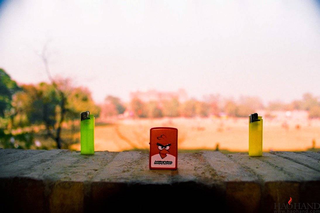clippers_and_the_angry_bird_by_nticked-d4p1t70.jpg