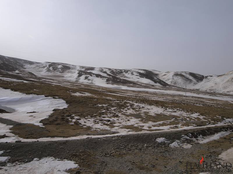_2260948.jpg