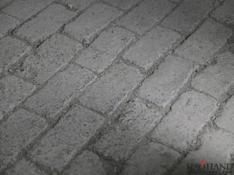 _2281313.jpg